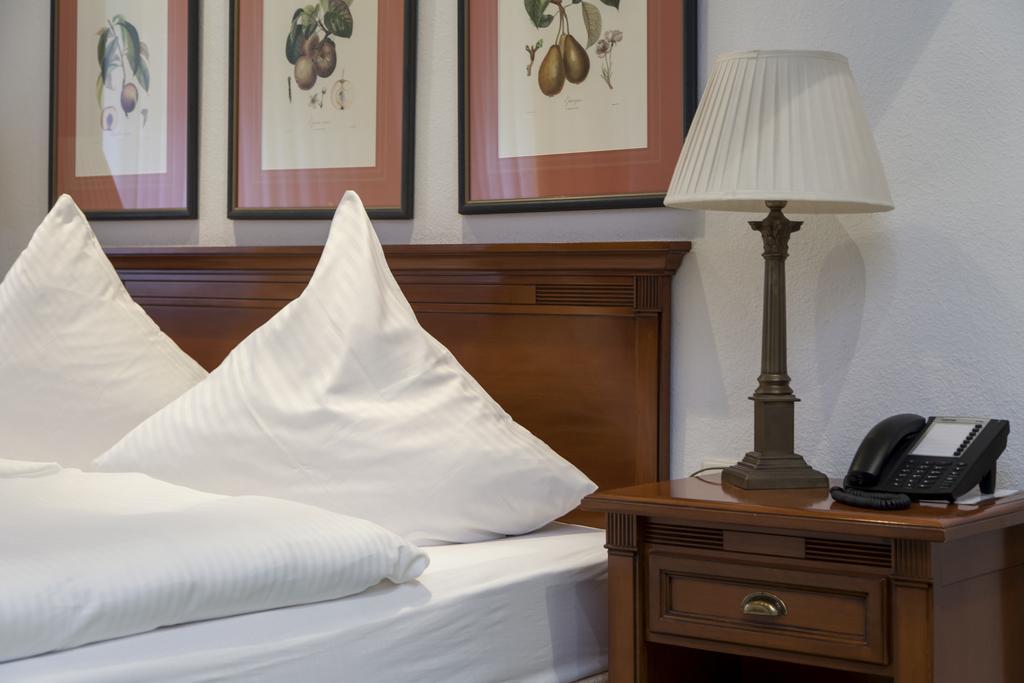 ריין Hotel Zum Alten Brunnen מראה חיצוני תמונה