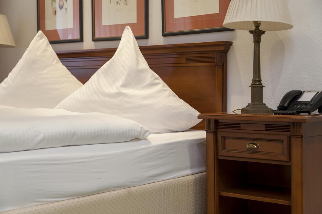 ריין Hotel Zum Alten Brunnen מראה חיצוני תמונה